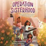Operation Sisterhood, Olugbemisola RhudayPerkovich