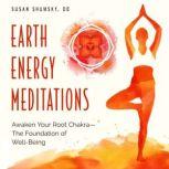 Earth Energy Meditations, Susan Shumsky, DD