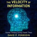 The Velocity of Information, David P. Perrodin