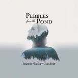 Pebbles From The Pond A Teachers St..., Robert Wesley Clement