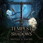 A Tempest of Shadows, Brenda K Davies