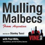 Mulling Malbecs from Argentina, Vine Talk