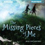 The Missing Pieces of Me, Jean Van Leeuwen