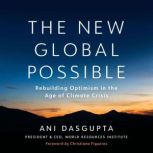 The New Global Possible, Ani Dasgupta