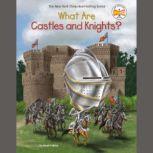 What Are Castles and Knights?, Sarah Fabiny