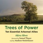 Trees of Power Ten Essential Arboreal Allies, Akiva Silver