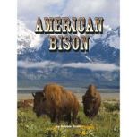 American Bison, Debbie Grant