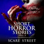 Short Horror Stories Vol. 5, Scare Street