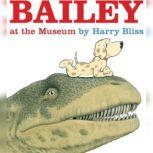 Bailey at the Museum, Harry Bliss