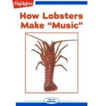 How Lobsters Make Music, Fiona Bayrock