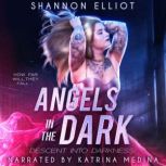 Angels In The Dark, Shannon Elliot