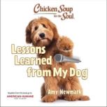 Chicken Soup for the Soul Lessons Le..., Amy Newmark