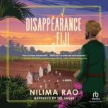 A Disappearance in Fiji, Nilima Rao