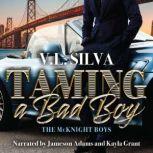 Taming a Bad Boy, V.L. Silva