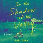 In the Shadow of the Valley, Bobi Conn