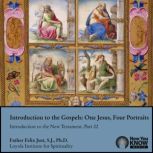 Introduction to the Gospels, Felix Just