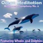 Ocean Meditation  Beethoven Symphony..., Various