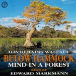 Bulow Hammock, David Wallace