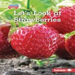 Lets Look at Strawberries, Katie Peters