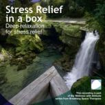 Stress relief in a box, Annie Lawler