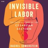 Invisible Labor, Rachel Somerstein
