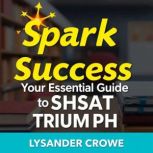 Spark Success Your Essential Guide t..., Lysander Crowe