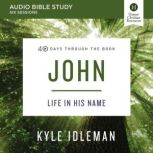 John Audio Bible Studies, Kyle Idleman
