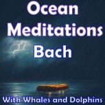 Ocean Meditations  Bach, Various