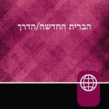 Hebrew Audio Bible New Testament - The Way, Hebrew Living New Testament, Zondervan