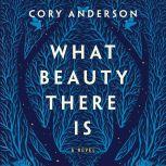 What Beauty There Is, Cory Anderson