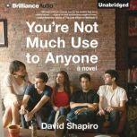 Youre Not Much Use to Anyone, David Shapiro