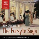 The Forsyte Chronicles, Vol. 1 The F..., John Galsworthy