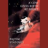 A Cow Gives Birth at Night, Pajtim Statovci