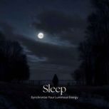 Sleep, Sleep Academy