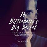 The Billionaires Big Secret, Mr Stuffalot