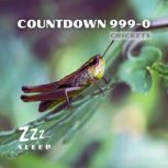 Countdown 9990, ZZZ Sleep