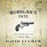 Burglar's Fate, A : The Pinkerton Files, Volume 3, David Luchuk