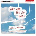 Why Are You So Sad?, Jason Porter