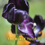 The Black Tulip, Alexandre Dumas