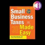 Small Business Taxes Made Easy, Third Edition, Eva Rosenberg
