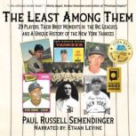 The Least Among Them, Paul Russell Semendinger