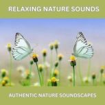 Relaxing Nature Sounds  Over 10 Hour..., My Nature Sounds Therapy