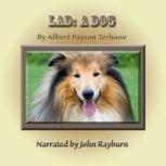 Lad: A Dog, Albert Payson Terhune
