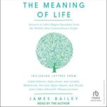 The Meaning of Life, James Bailey