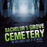 Bachelors Grove Cemetery and Other H..., Matthew Chandler