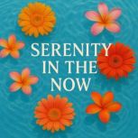Serenity in the Now Book summary a..., Skye Emerson