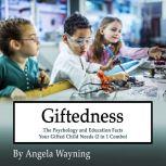 Giftedness The Psychology and Educat..., Angela Wayning