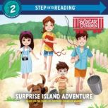 Surprise Island Adventure, Gertrude Chandler Warner