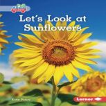 Lets Look at Sunflowers, Katie Peters