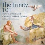 The Trinity 101 How to Understand One God in Three Persons, David Vincent Meconi
